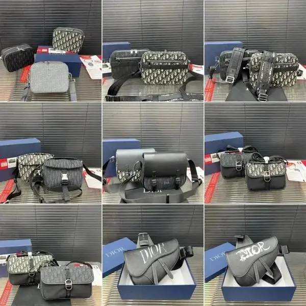 Dior Camera Bag Collection product image